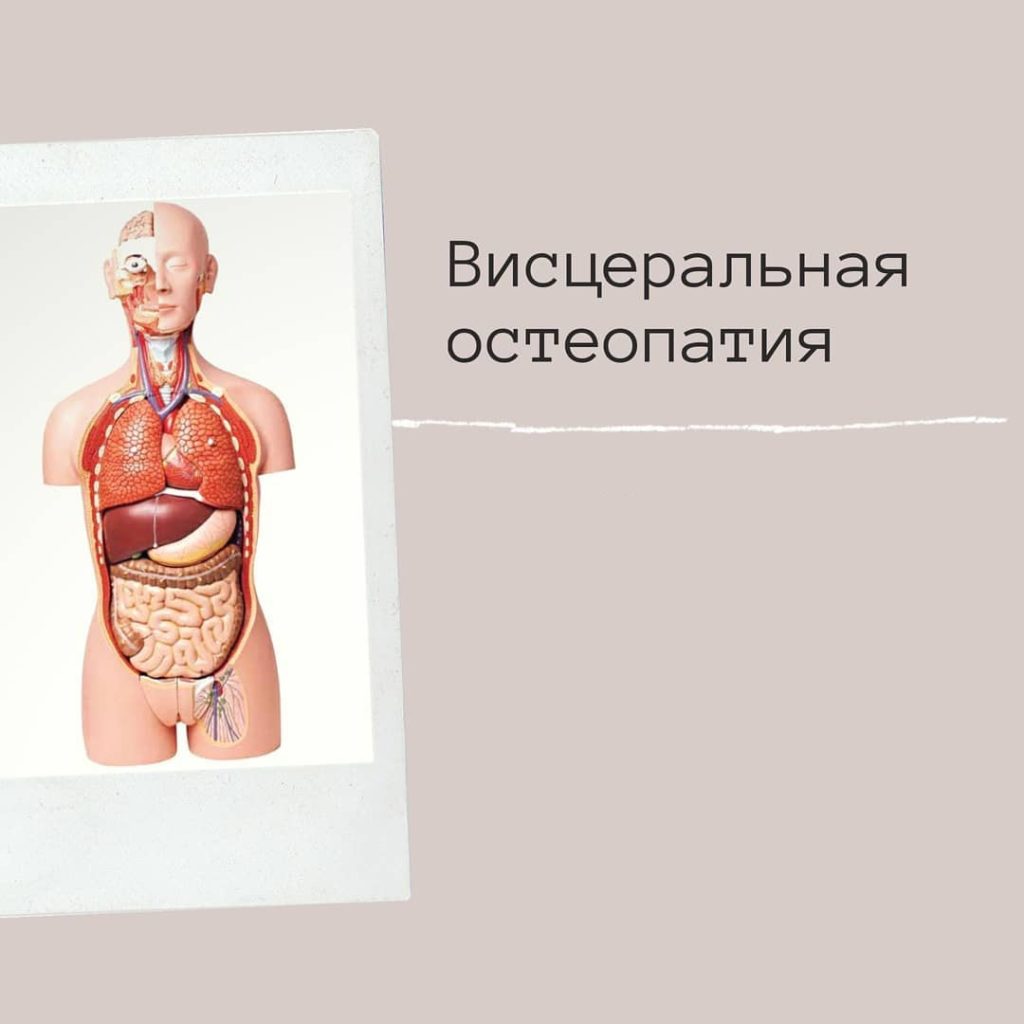 Висцеральная остеопатия