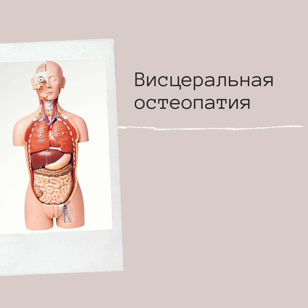 Висцеральная остеопатия